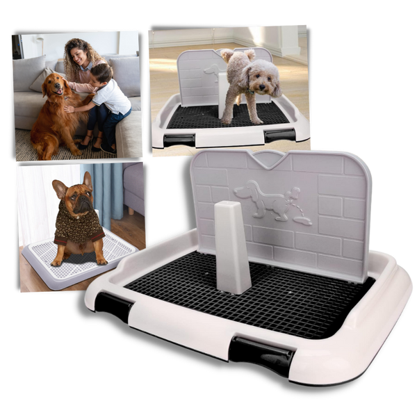 Splashproof Dog Potty Training Pads With Odor Control And Large Coverage