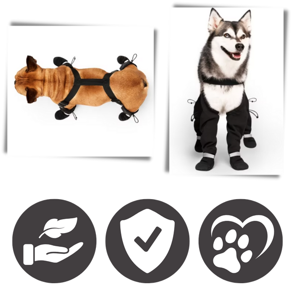 Waterproof Dog Boots With Adjustable Suspenders For All Weather Comfort