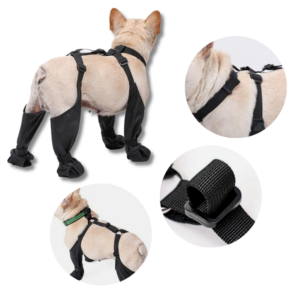 Waterproof Dog Boots With Adjustable Suspenders For All Weather Comfort