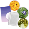 Invisible Acne Patches For Clearer Skin With Breathable Comfort 36 Pack
