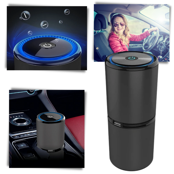 Portable Ionic Air Cleaner For Clean Air In Car And Home