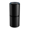 Portable Ionic Air Cleaner For Clean Air In Car And Home