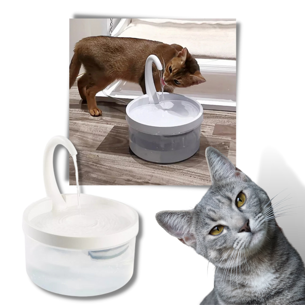 Cat Water Fountain With LED Light And Purification System