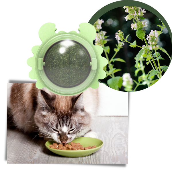 Minty Rotating Cat Ball Toy For Engaging Play And Furniture Protection
