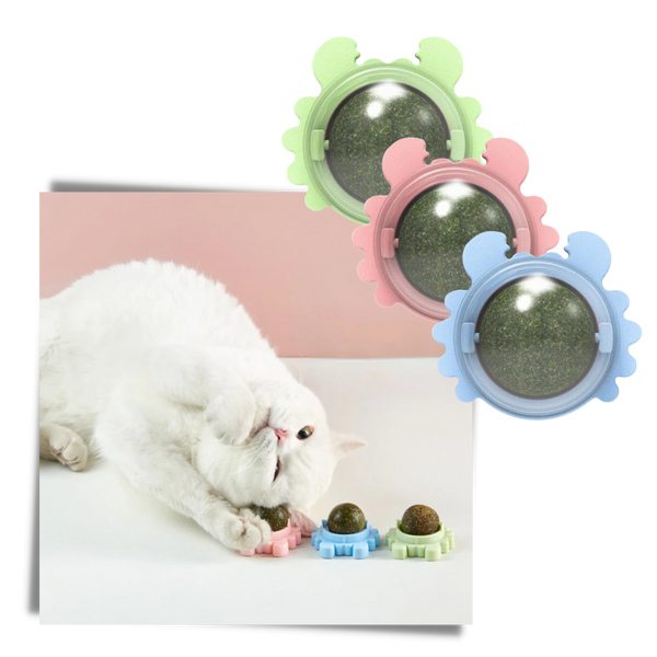 Minty Rotating Cat Ball Toy For Engaging Play And Furniture Protection