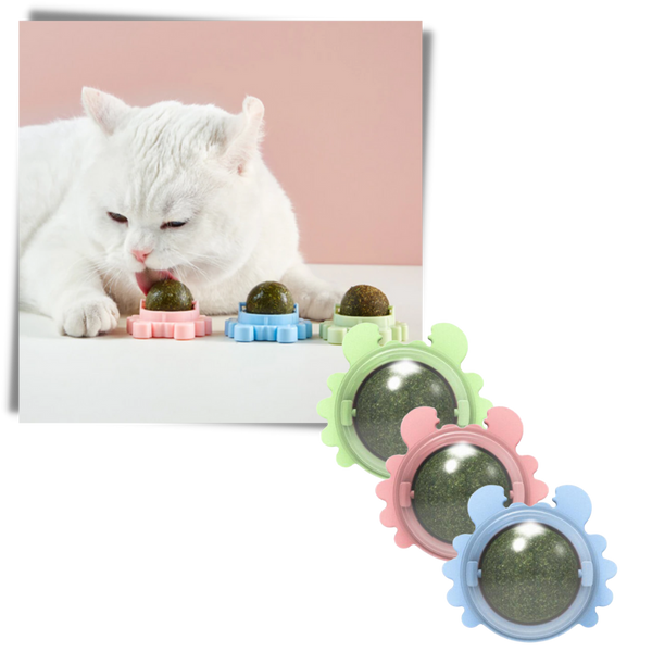 Minty Rotating Cat Ball Toy For Engaging Play And Furniture Protection