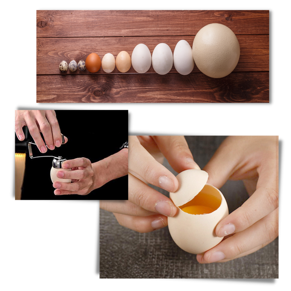 Egg Separator Tool For Clean Shell Free Eggs And Perfect Scrambles