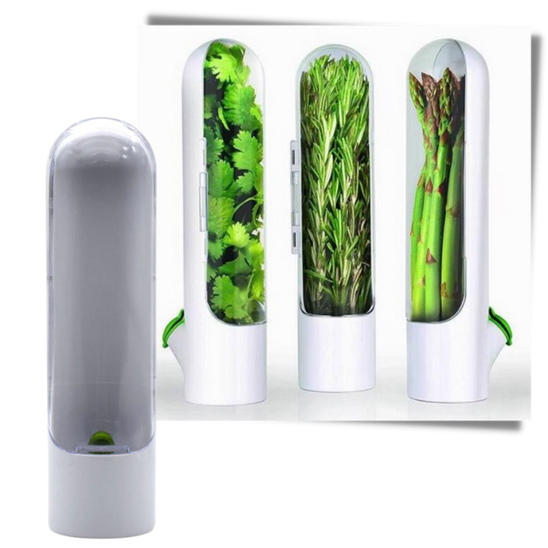 Herb Preservation Container Keeps Fresh Herbs Longer And Flavorful