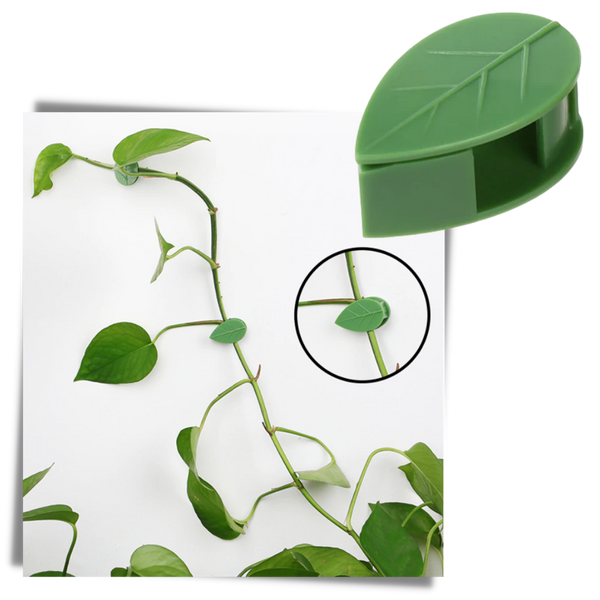 Set Of 20 Leaf Shaped Adhesive Clips For Climbing Plants With Neat Support