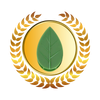 Set Of 20 Leaf Shaped Adhesive Clips For Climbing Plants With Neat Support