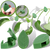 Set Of 20 Leaf Shaped Adhesive Clips For Climbing Plants With Neat Support