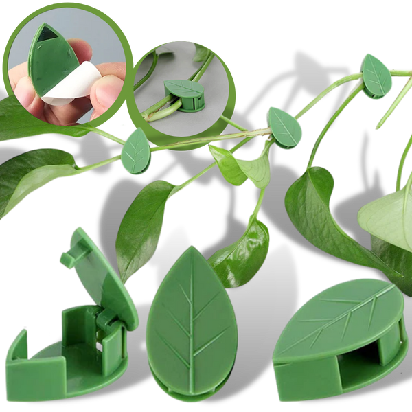 Set Of 20 Leaf Shaped Adhesive Clips For Climbing Plants With Neat Support
