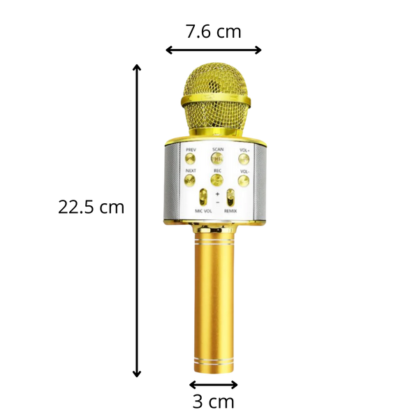 Premium Karaoke Microphone With Bluetooth And Noise Reduction Portable