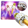 Premium Karaoke Microphone With Bluetooth And Noise Reduction Portable