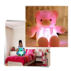 Premium LED Plush Teddy Bear Night Light With Multicolor Glow