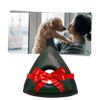 Effortless Pet Hair Remover for Upholstery and All Surfaces