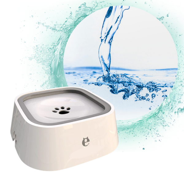 Floating Water Bowl With Non Slip Base For Splash Free Hydration