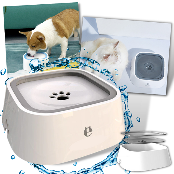 Floating Water Bowl With Non Slip Base For Splash Free Hydration