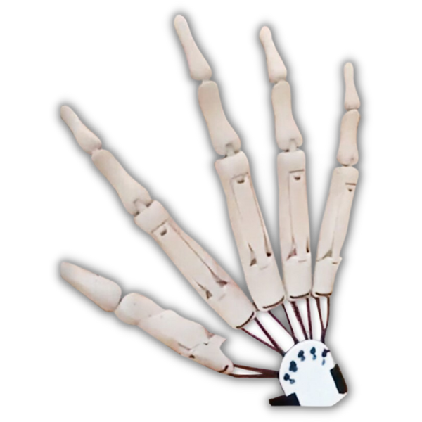 Spooky Skeleton Glove Accessory For Halloween Costumes Enhancing Your Look