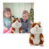 Premium Plush Talking Hamster Educational Toy Repeats Your Words
