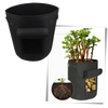 Organic Vegetable Planter Fabric Pouch For Chemical Free Home Growing