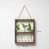 Modern Botanical Plant Propagating Photo Frame Wall Art