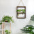 Modern Botanical Plant Propagating Photo Frame Wall Art