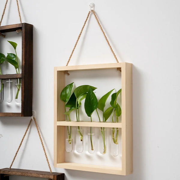 Modern Botanical Plant Propagating Photo Frame Wall Art