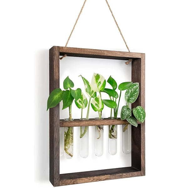 Modern Botanical Plant Propagating Photo Frame Wall Art