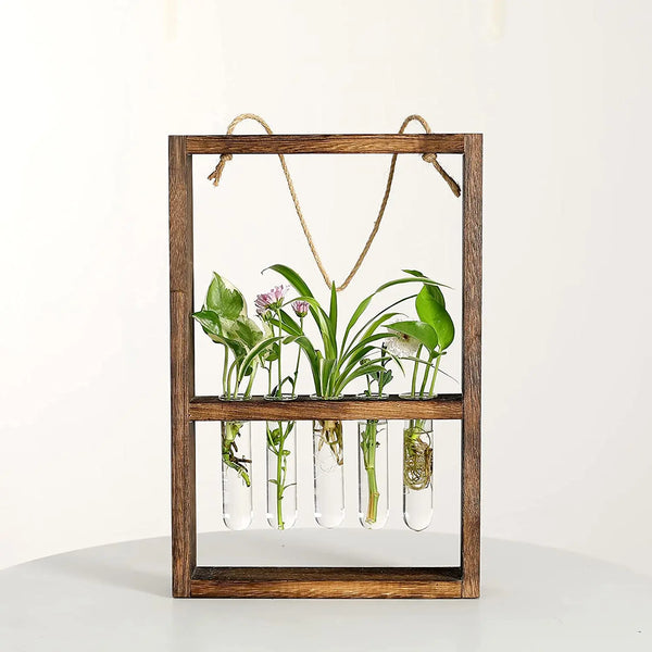 Modern Botanical Plant Propagating Photo Frame Wall Art