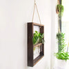 Modern Botanical Plant Propagating Photo Frame Wall Art