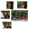 Drip Irrigation Kit for Efficient Watering and Healthier Plants