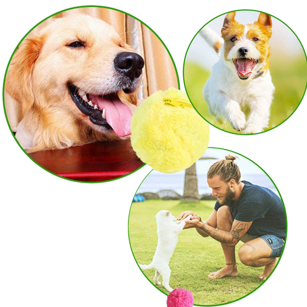 Automatic Moving Roller Ball For Dogs Keeps Them Active
