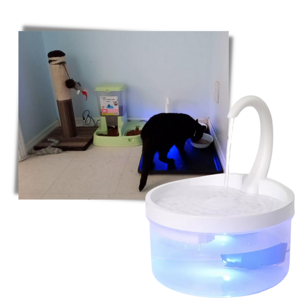 Cat Water Fountain With LED Light And Purification System