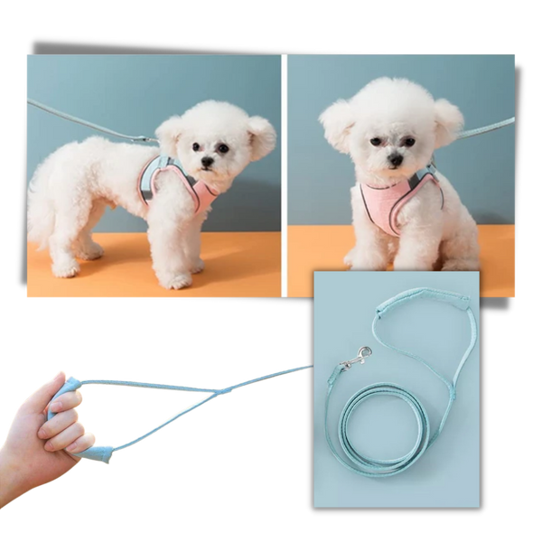 Pet Soft Vest Harness And Leash Set With Reflective Strips For Night Safety
