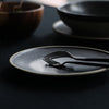 Carbon Ceramic Dinner Plates