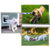 Four Way Pet Door With Waterproof Seal For Quiet Safe Access