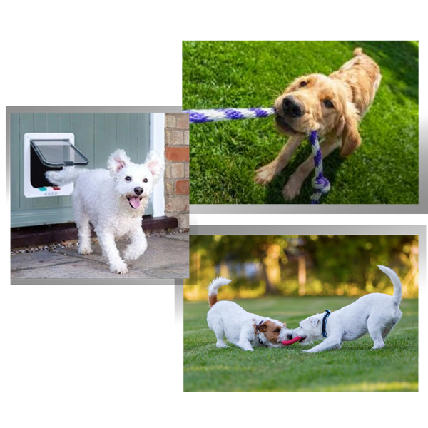 Four Way Pet Door With Waterproof Seal For Quiet Safe Access