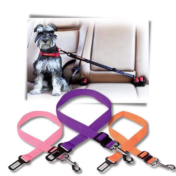 Premium Car Dog Seat Belt For Safe Travel And Comfortable Journeys