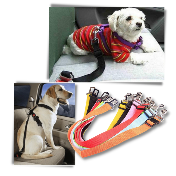 Premium Car Dog Seat Belt For Safe Travel And Comfortable Journeys