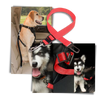 Premium Car Dog Seat Belt For Safe Travel And Comfortable Journeys