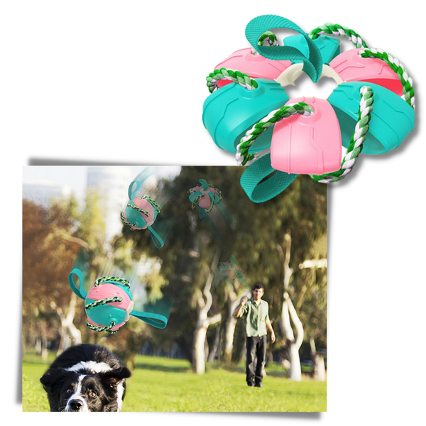 Durable Frisbee Ball Dog Toy With Cotton Rope For Anxiety Relief