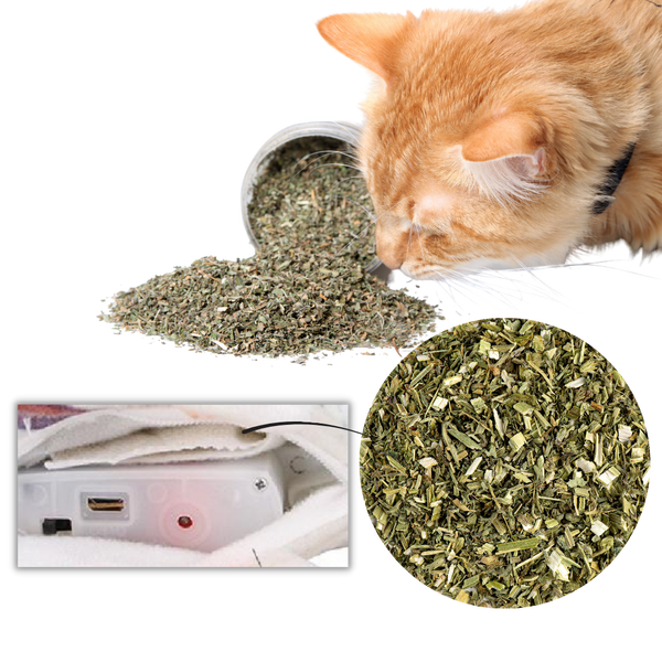 Rechargeable Flopping Fish Cat Toy With Built In Catnip For Active Play