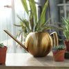 Minimalist Stainless Steel Plant Watering Can Indoor Garden Essentials