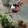 Minimalist Stainless Steel Plant Watering Can Indoor Garden Essentials