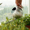 Minimalist Stainless Steel Plant Watering Can Indoor Garden Essentials