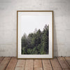 Enchanted Forest Tree Canvas Wall Art 3 Piece Set Living Room Decor