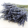 Natural Dried Lavender Flowers For Aromatherapy Relaxation