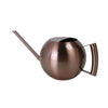 Minimalist Stainless Steel Plant Watering Can Indoor Garden Essentials