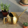 Minimalist Stainless Steel Plant Watering Can Indoor Garden Essentials